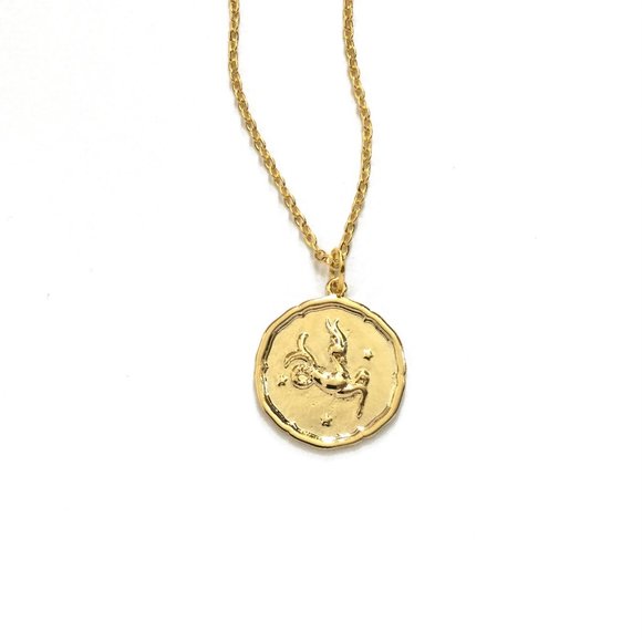 Zodiac Capricorn Sign Necklace - Picture 6 of 6